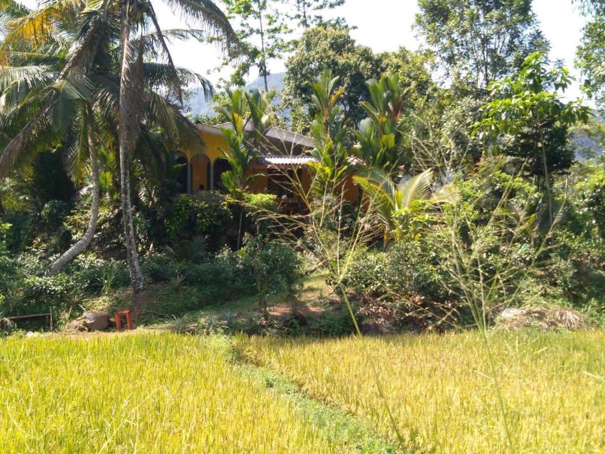 Forest & Fields Sinharaja & Restaurant Deniyaya Exterior foto